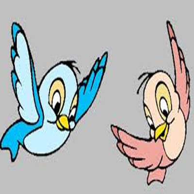 Disney’s Bird stresses importance of non linear content