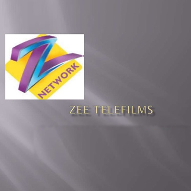 Zee bags cricket rights, ESPN-Star loses out