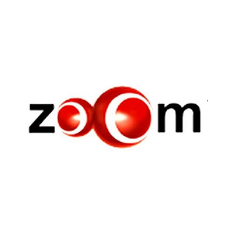 Zoom to launch by Oct-Nov 2004
